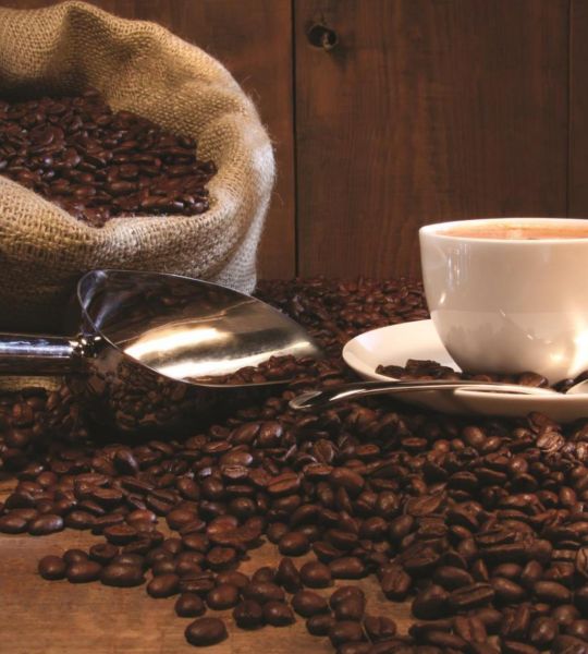 fototapeta - kava in kavna skodelica