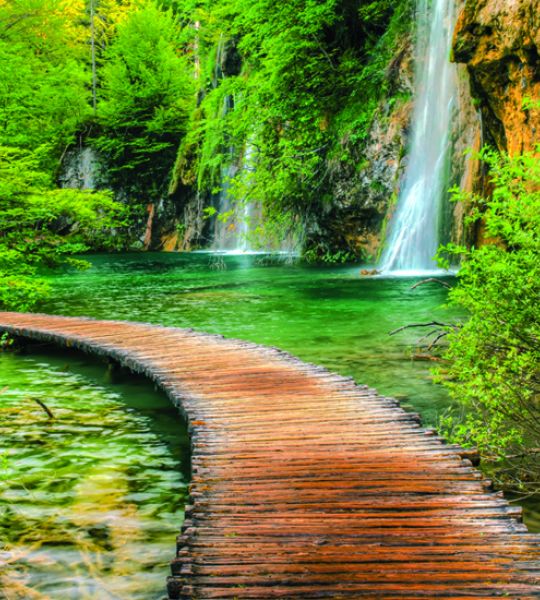 fototapeta narava - leseni mosti in slapovi