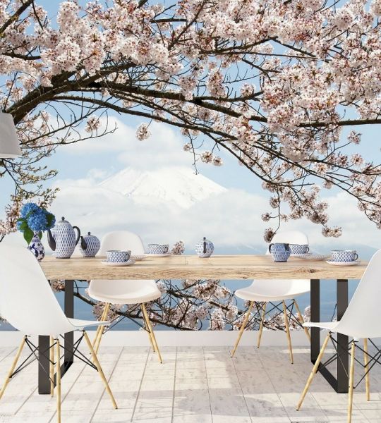 fototapeta v prostoru na steni