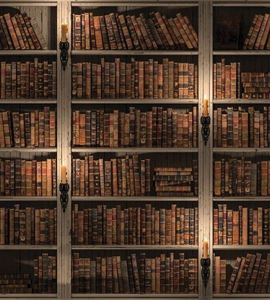 fototapeta - police s knjigami