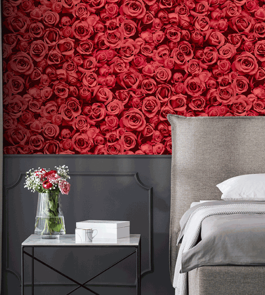 stenska tapeta - na steni