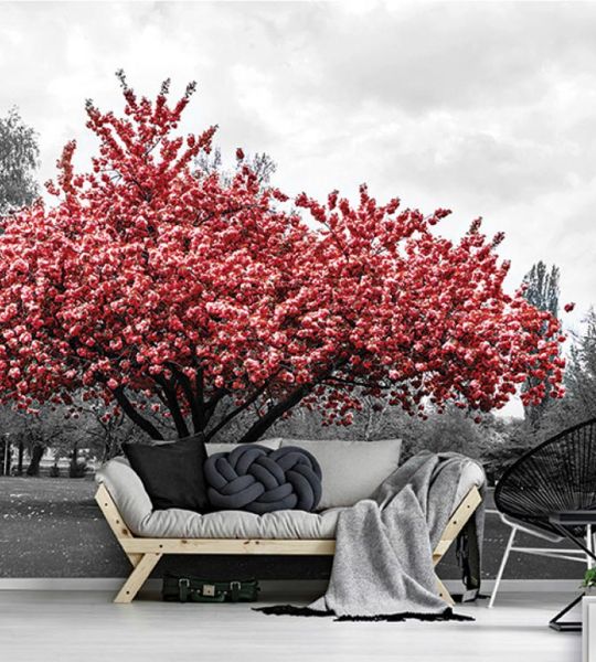 fototapeta v prostoru