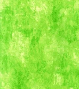 stenska tapeta v zeleni barvi