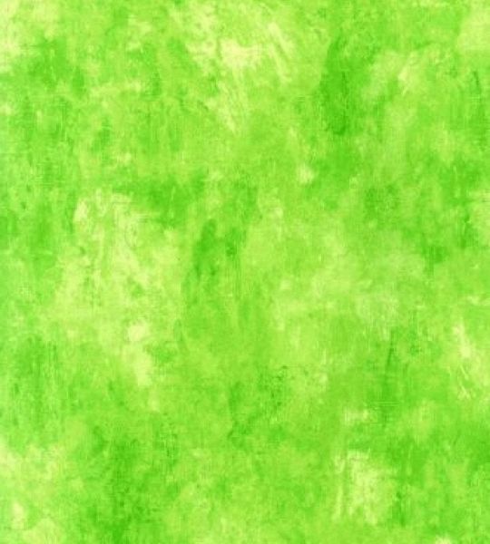 stenska tapeta v zeleni barvi